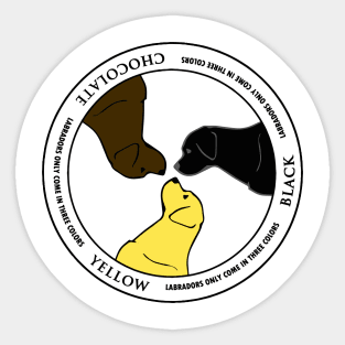 Labradors only come in three colors Sticker